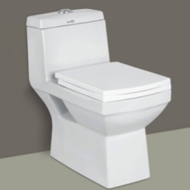 Toilet Mount